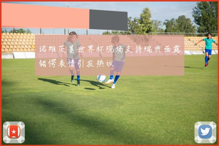 诺维茨基世界杯现场支持瑞典面露错愕表情引发热议